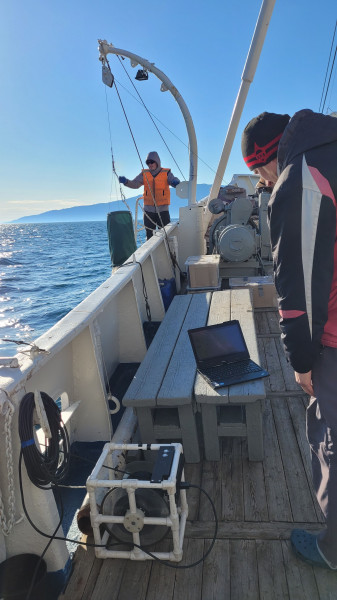 Сеть-JFE_20240606_183012