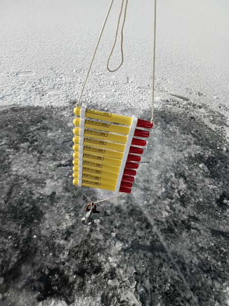 photo_2026-01-23_20-55-47