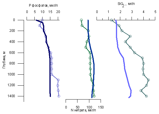 Распределение биогенных элементов в Южном Байкале по глубинам (кривые с круглыми значками), данные Г.Ю. Верещагина, 1949г., середина лета. Цитируется по книге Kozhov 1963, p. 49. Толстые серые кривые - данные о концентрациях фосфатного фосфора, нитратного азота (Weiss et al., 1991) и растворимого кремнезема (Killworth et al., 1996) в Южном Байкале в июне 1988 г.